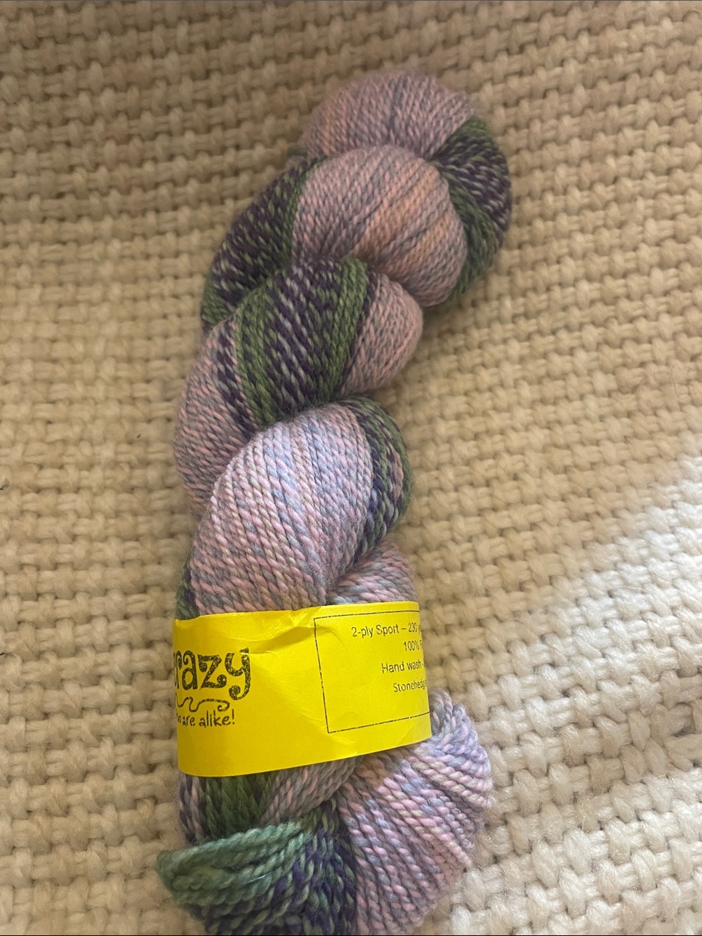 Crazy 8 Pastel Multi-Color Hand-Dyed Yarn Skein
